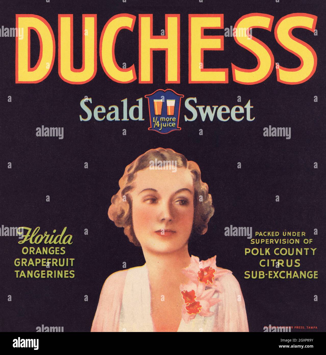 Duchess Seald Sweet Stock Photo