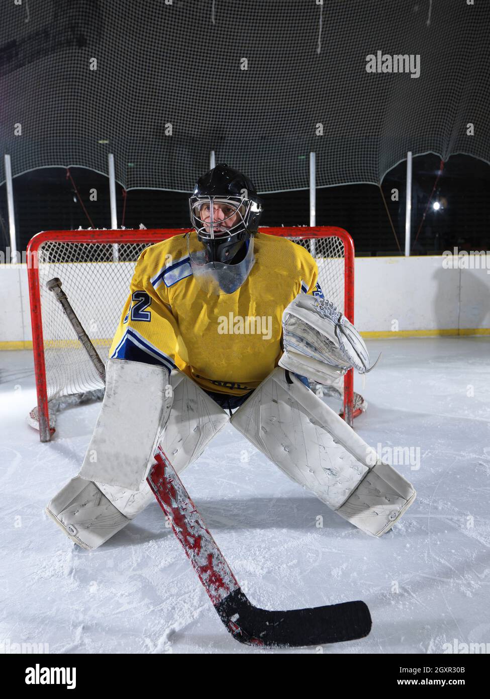 ice hockey goalkeeper player on goal in action Stock Photo Alamy