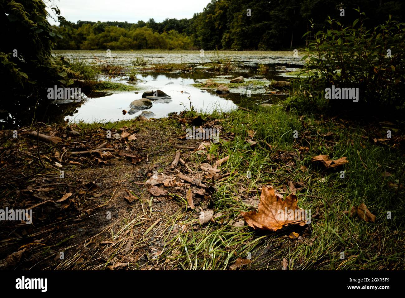 Tranquil speedwell lake park in Morristown, NJ falling leaves as Autumn approaches Stock Photo