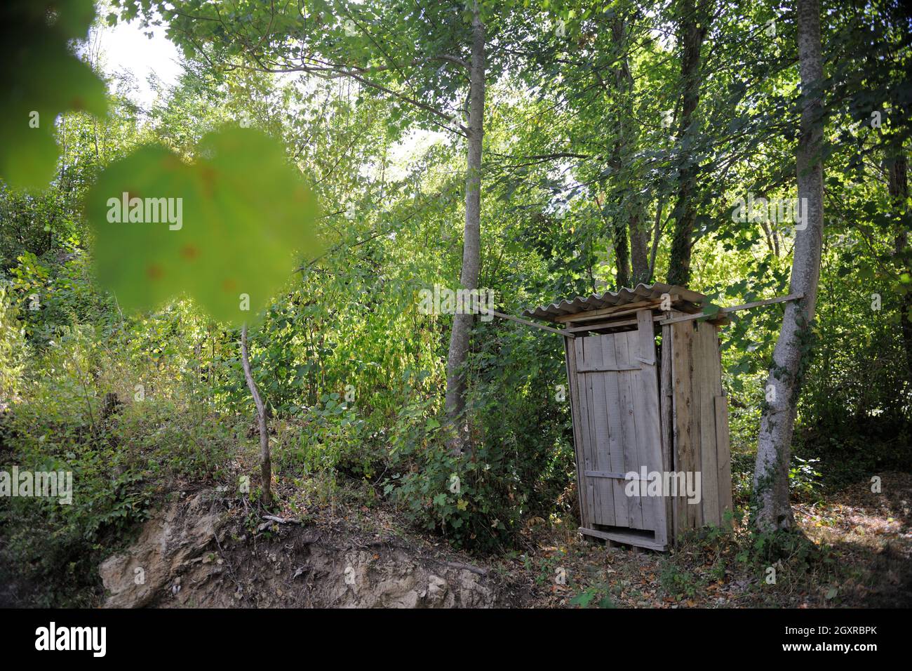 old wooden retro outdoor toilet in forest Stock Photo Alamy