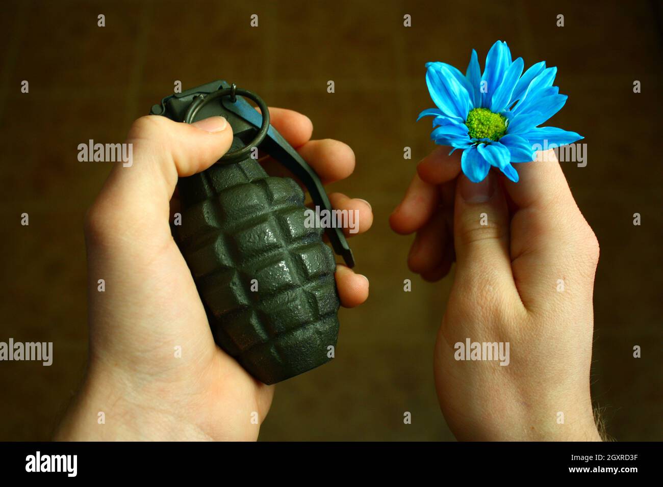 Two light-skinned hands - one holds a grenade and the other holds a blue and green daisy Stock Photo