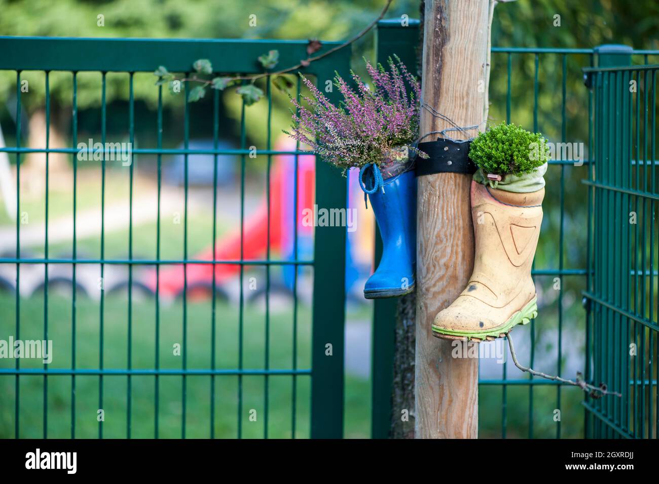 Wellington boots as a substitute for a flower pot on the lattice garden fence of a daycare center. Stock Photo