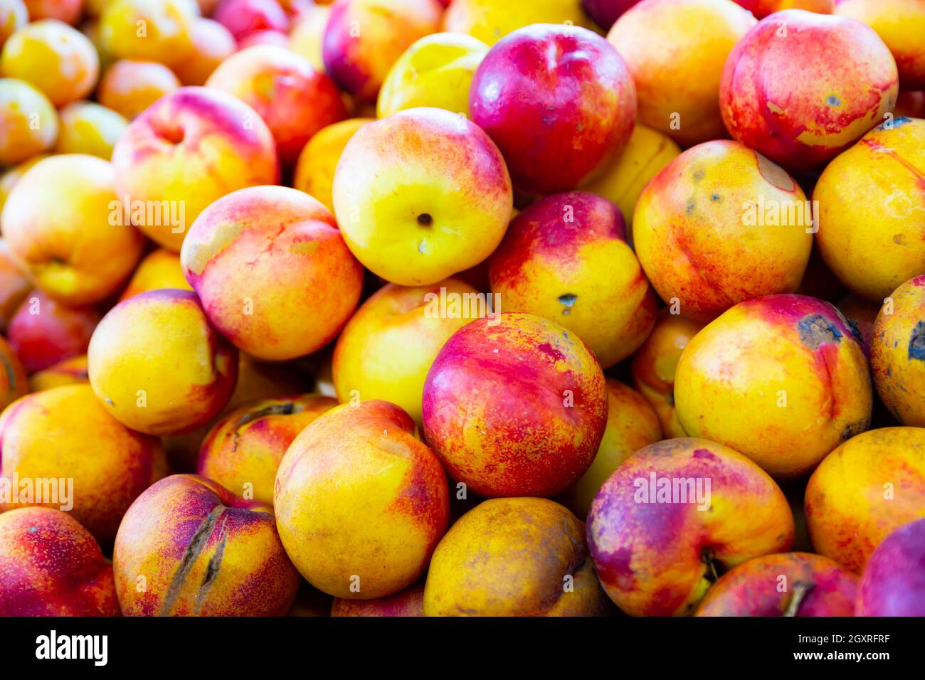 View of harvest of fresh nectarines on counter in food market Stock