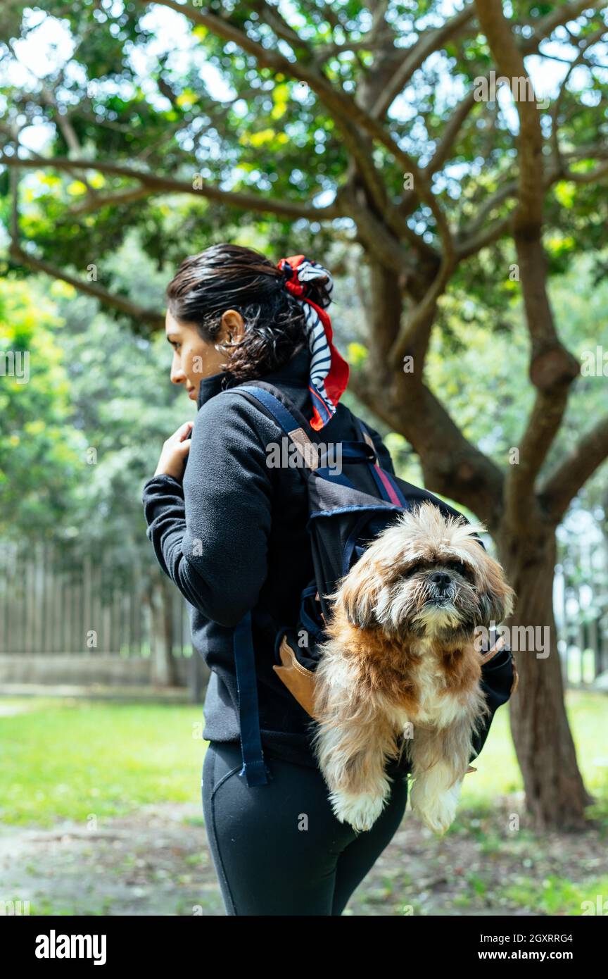 A charming young woman walks in nature, with a backpack on her shoulder, from which her dog peeks out. Concept relationship and love towards animals Stock Photo