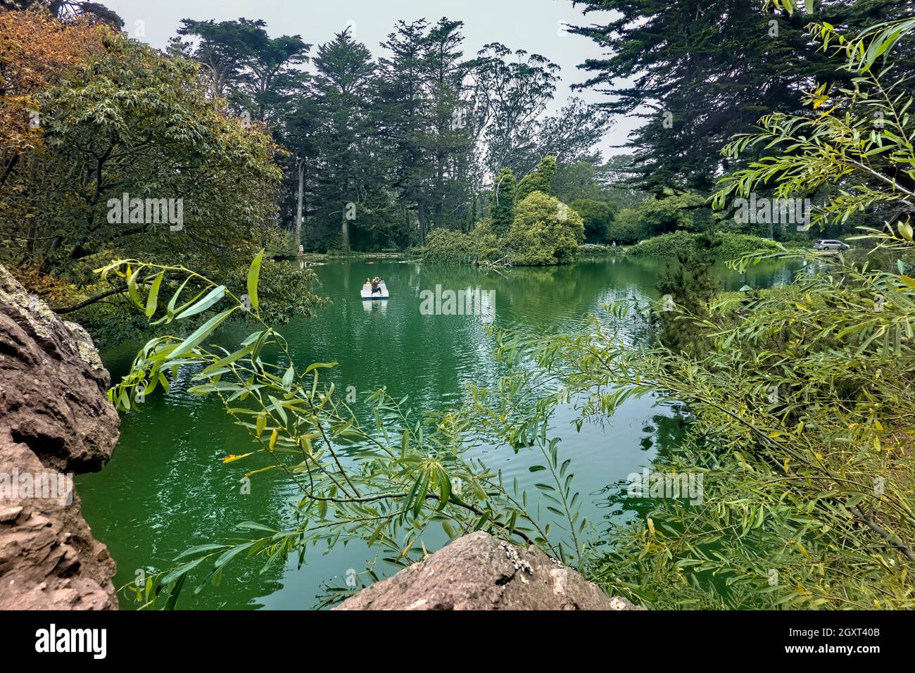 Scenes from Stow Lake, Golden Gate Park, San Francisco, California, U.S