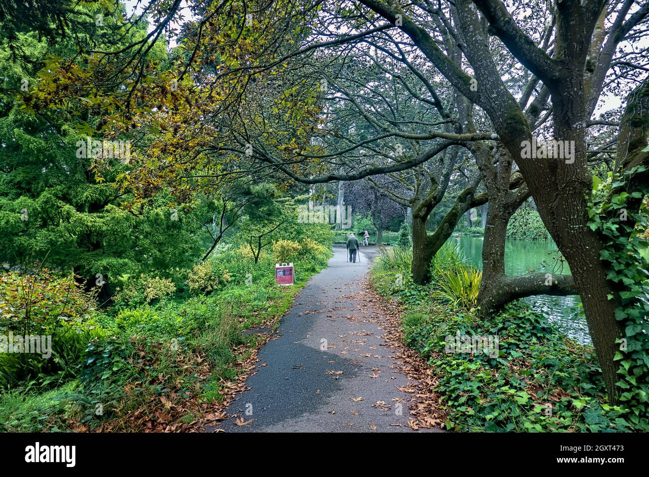 Scenes from Stow Lake, Golden Gate Park, San Francisco, California, U.S