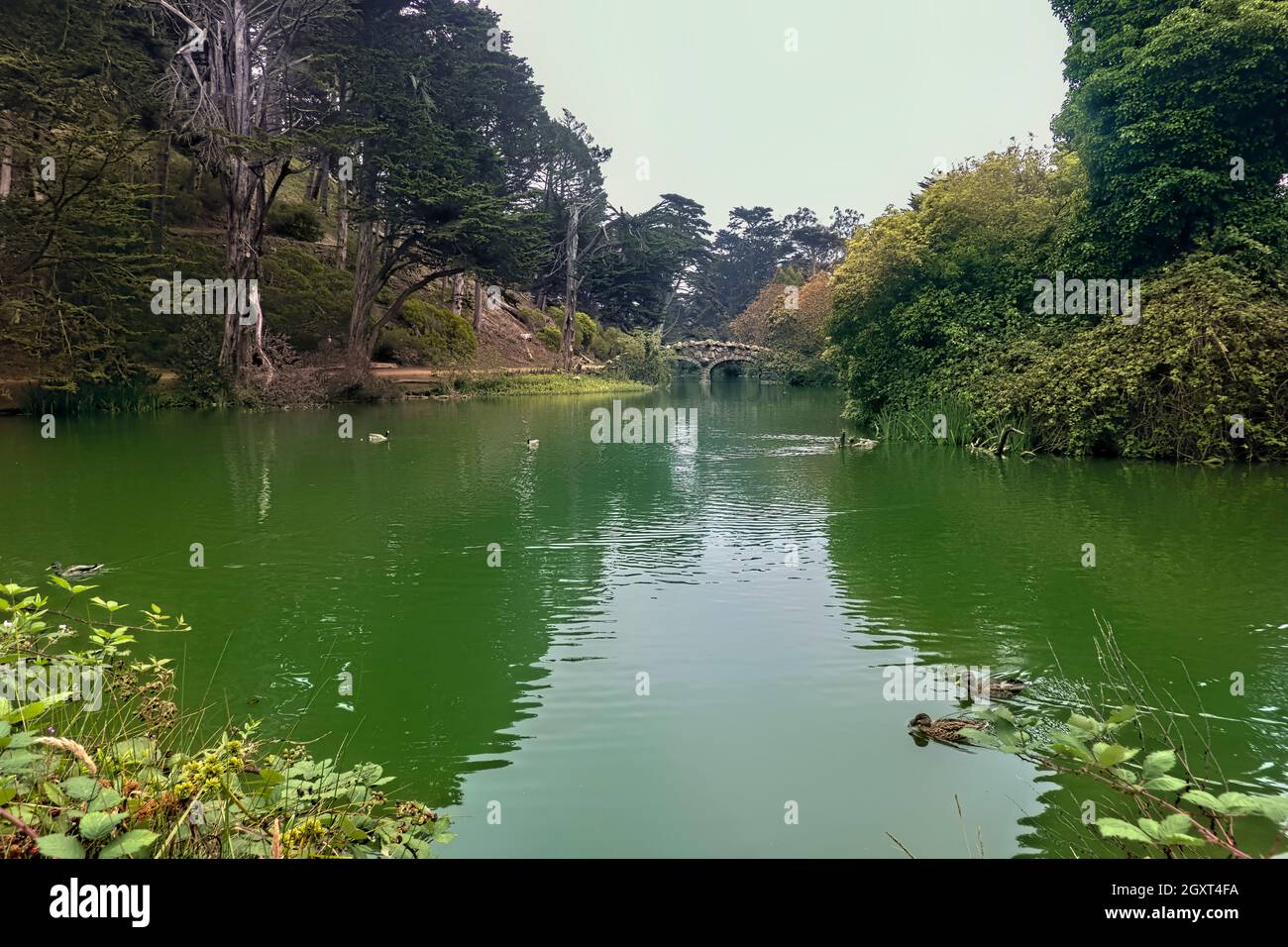 Scenes from Stow Lake, Golden Gate Park, San Francisco, California, U.S