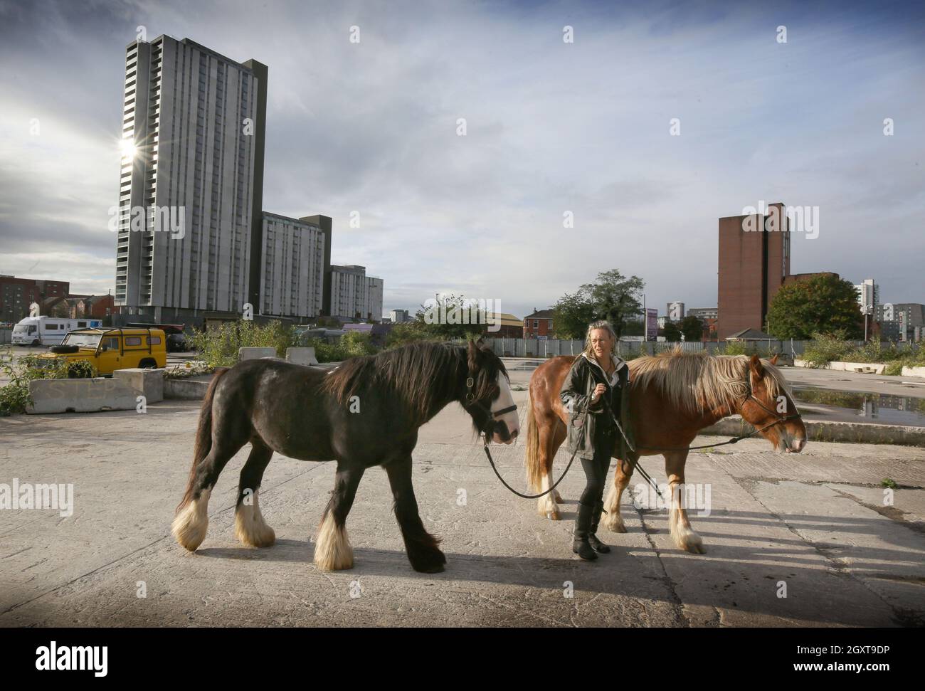 Manchester, UK. 04th Oct, 2021. A traveler attends to her horses during the demonstration.Gypsies set up a camp on the outskirts of Manchester before joining other protesters in central Manchester to oppose the Police, Crime, Sentencing, and Courts Bill that they believe it will outlaw nomadic gypsy and traveler cultures across the UK. Credit: SOPA Images Limited/Alamy Live News Stock Photo