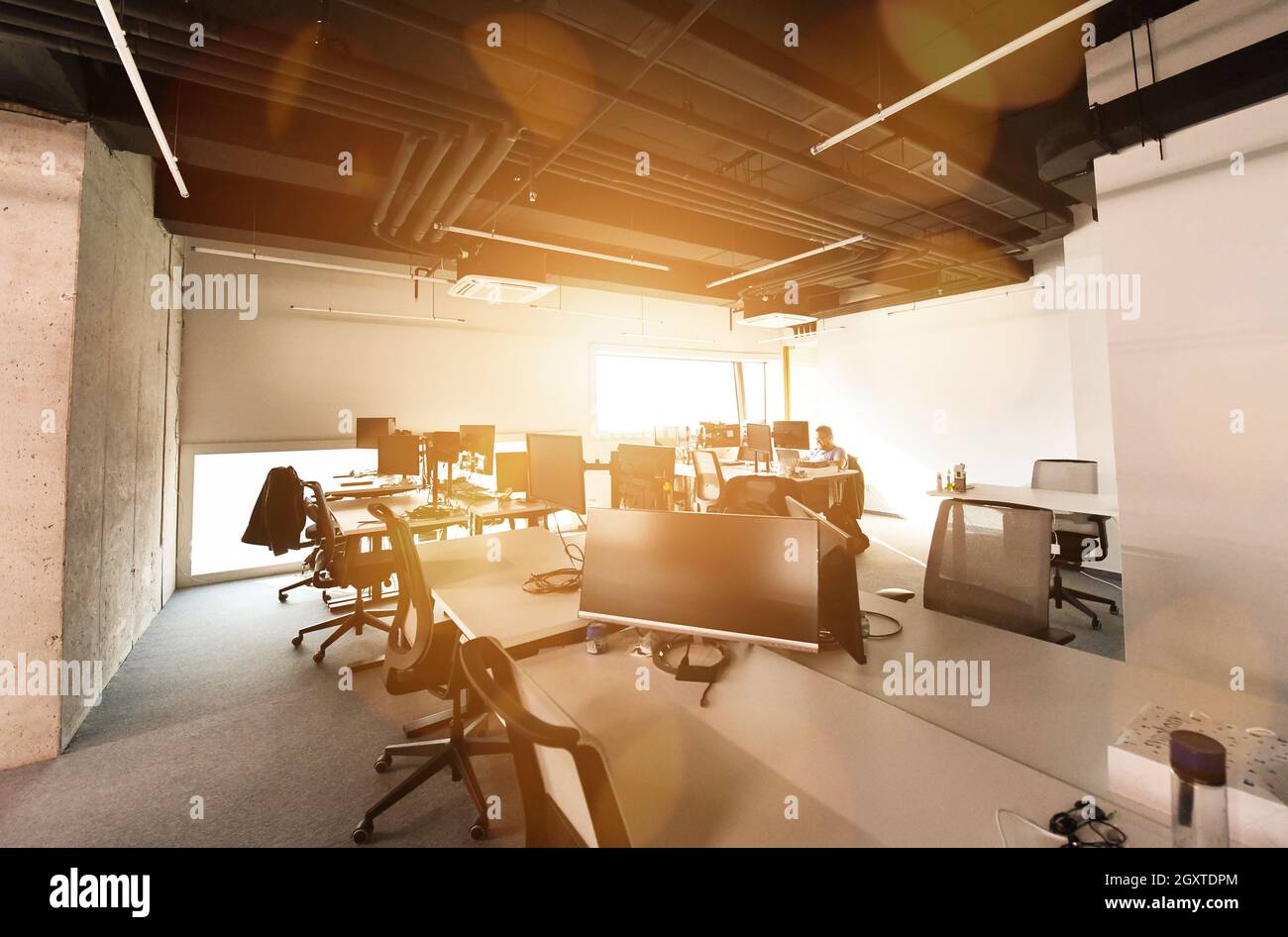 software developers working everyday job writing programming code at modern sunny bright open plan office Stock Photo