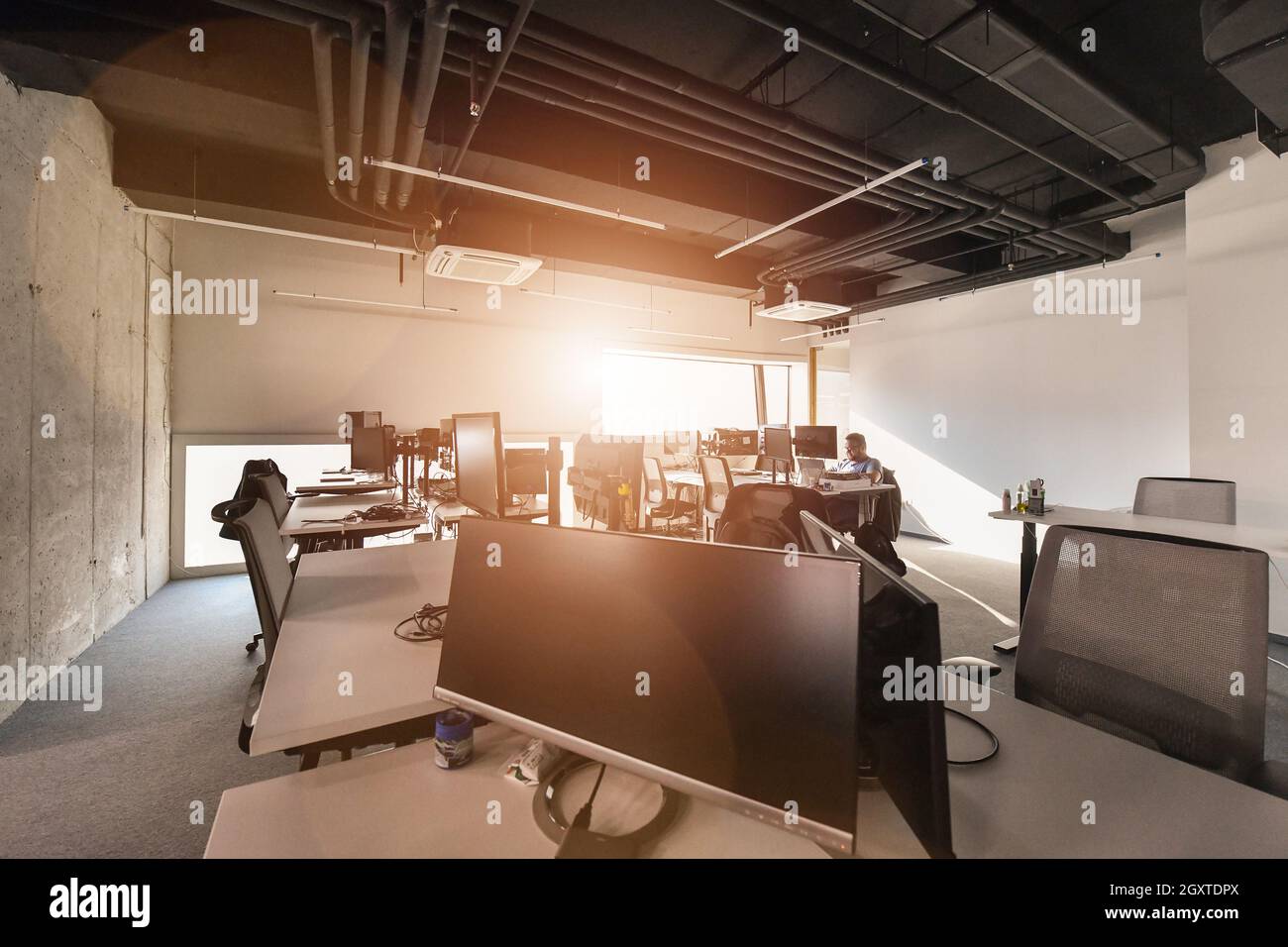 software developers working everyday job writing programming code at modern sunny bright open plan office Stock Photo