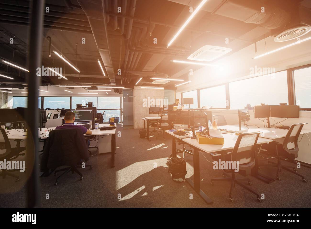 software developers working everyday job writing programming code at modern sunny bright open plan office Stock Photo