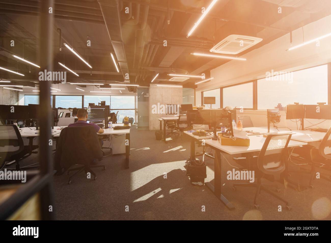 software developers working everyday job writing programming code at modern sunny bright open plan office Stock Photo