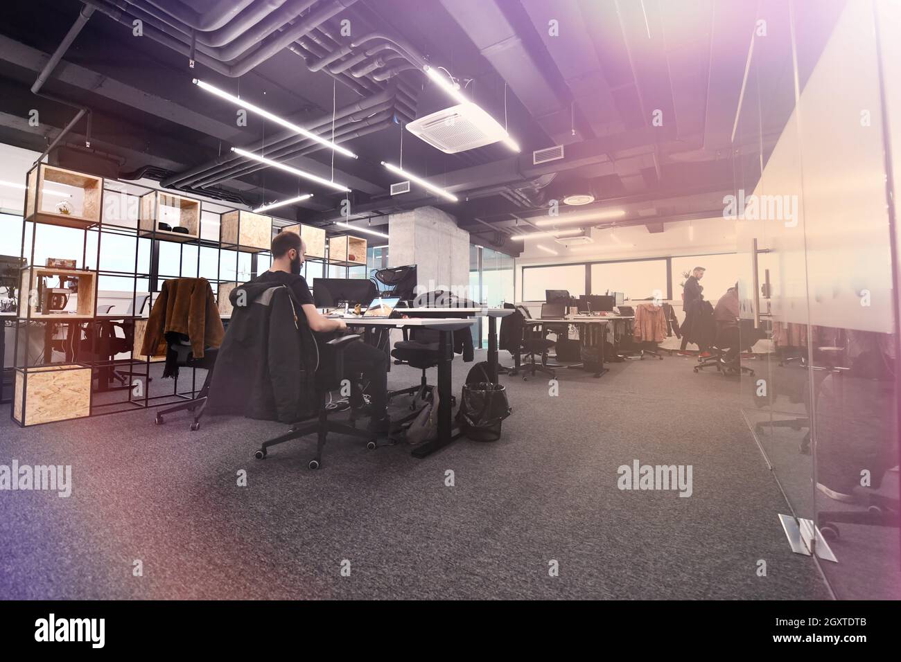 software developers working everyday job writing programming code at modern sunny bright open plan office Stock Photo