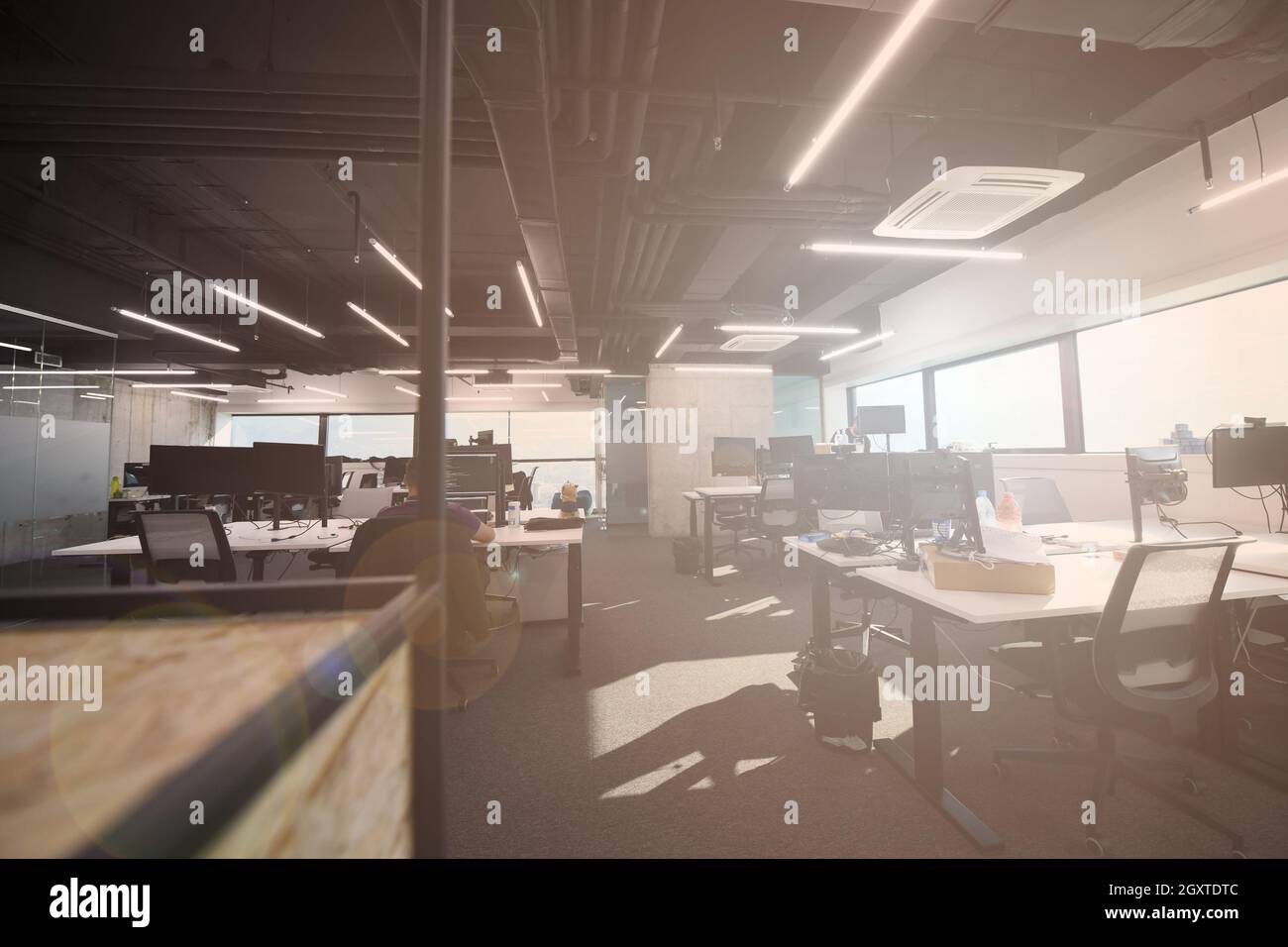 software developers working everyday job writing programming code at modern sunny bright open plan office Stock Photo