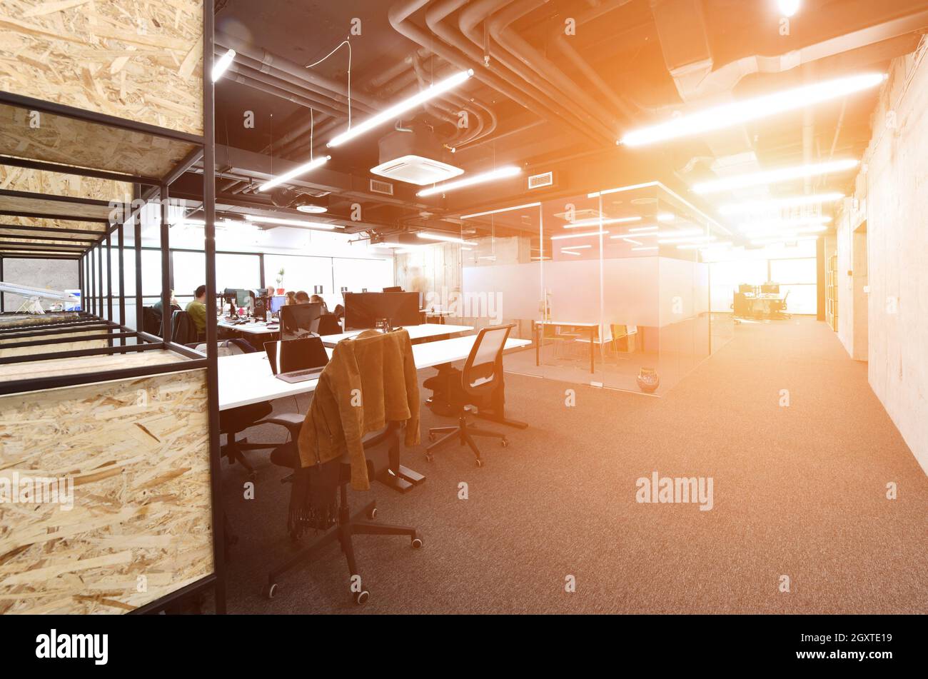 software developers working everyday job writing programming code at modern sunny bright open plan office Stock Photo