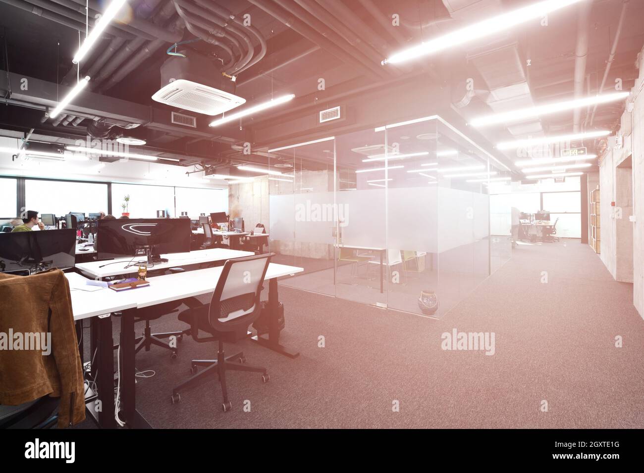 software developers working everyday job writing programming code at modern sunny bright open plan office Stock Photo