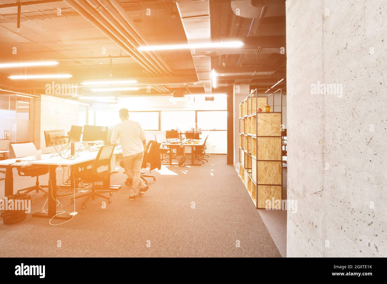 software developers working everyday job writing programming code at modern sunny bright open plan office Stock Photo