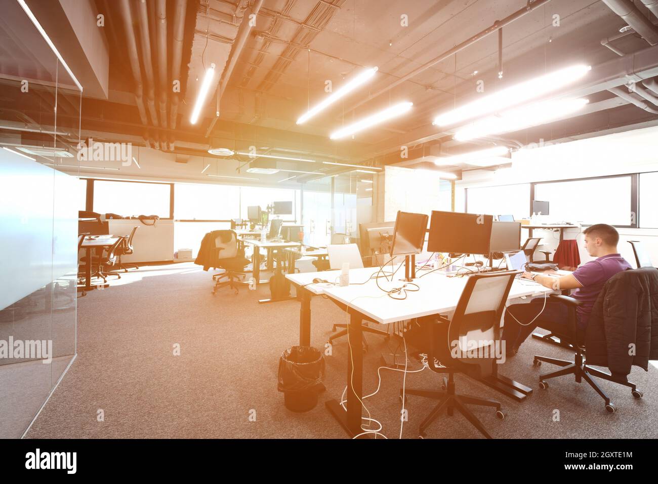 software developers working everyday job writing programming code at modern sunny bright open plan office Stock Photo