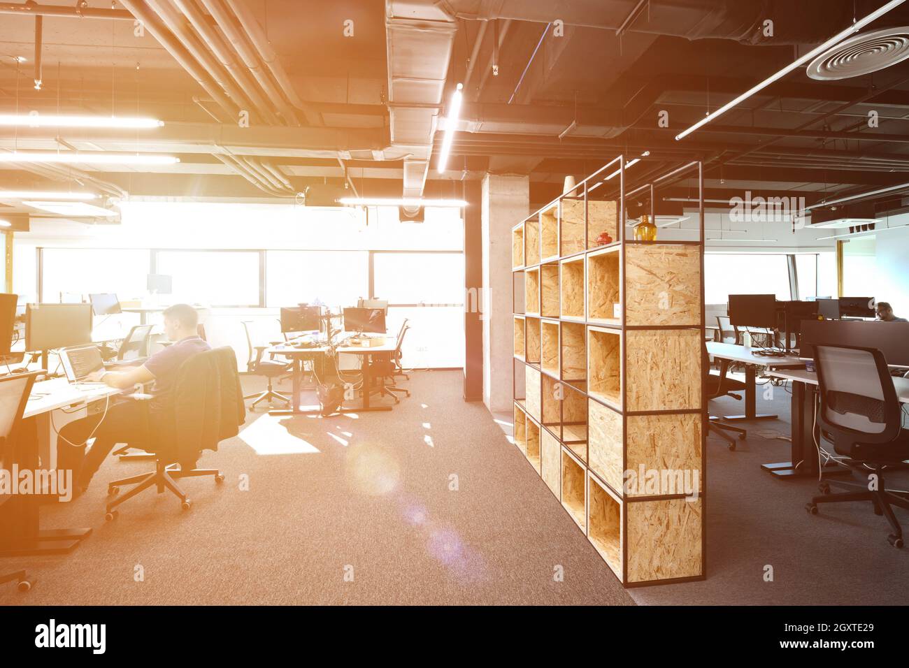 software developers working everyday job writing programming code at modern sunny bright open plan office Stock Photo