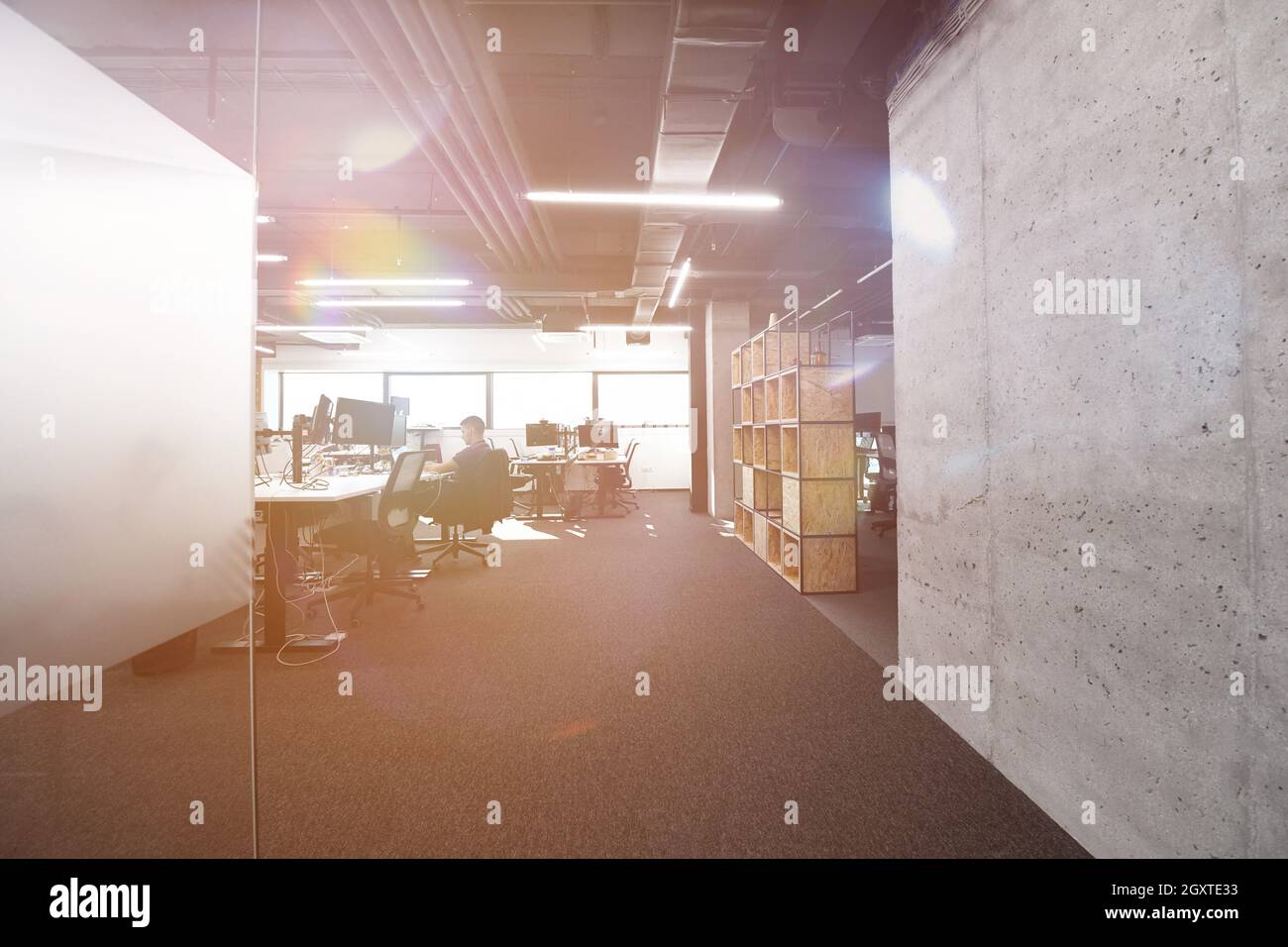 software developers working everyday job writing programming code at modern sunny bright open plan office Stock Photo