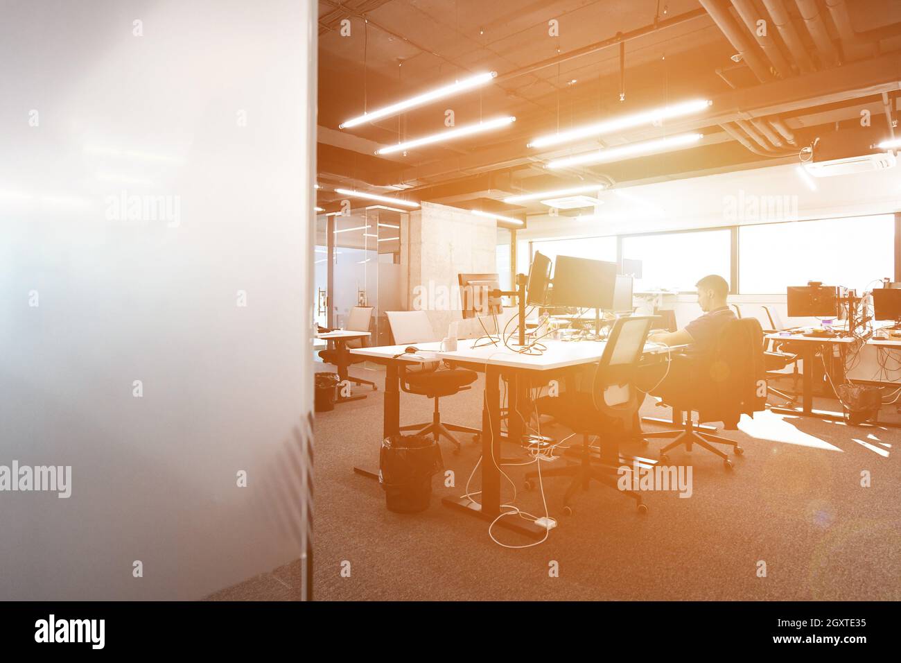 software developers working everyday job writing programming code at modern sunny bright open plan office Stock Photo