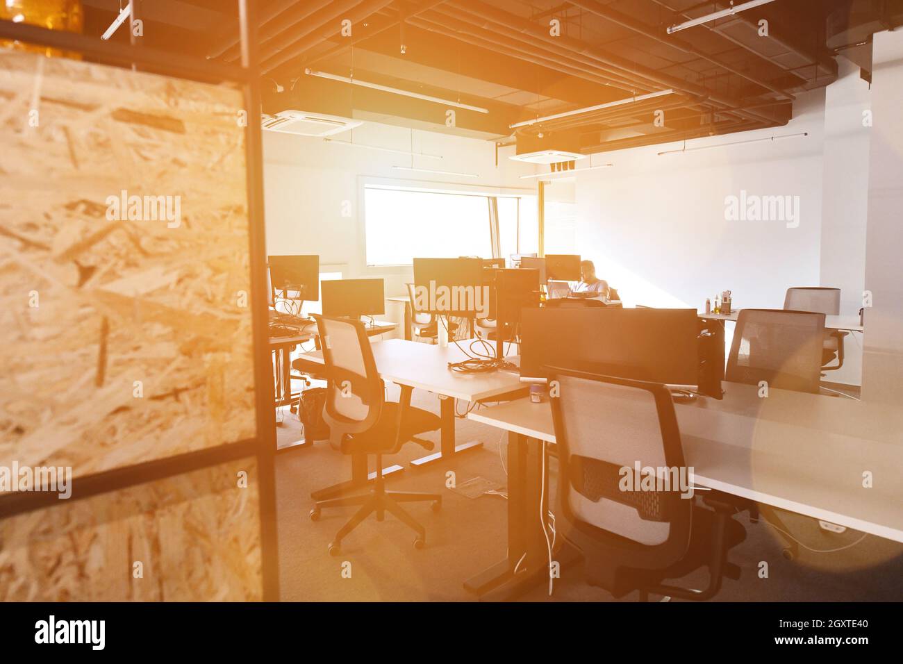 software developers working everyday job writing programming code at modern sunny bright open plan office Stock Photo
