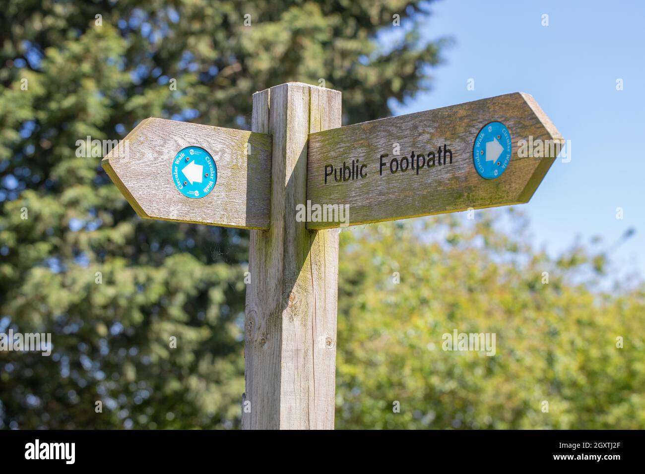 Sign Post. Public Footpath, Circular Walk. Upright. Wood. Norfolk Trails, Directional Stock Photo