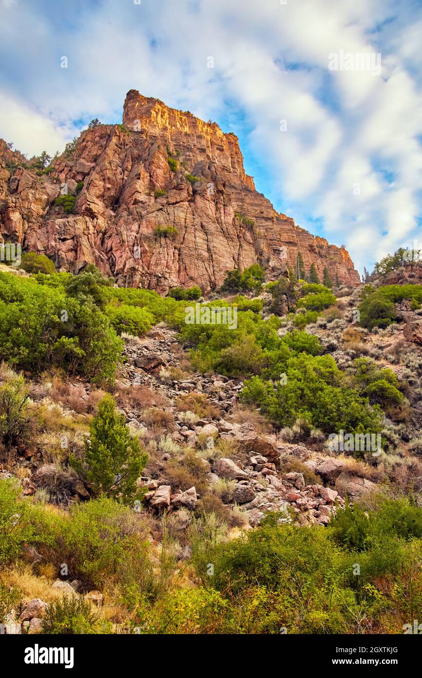 Vertical shot rock tree hi res stock photography and images Alamy