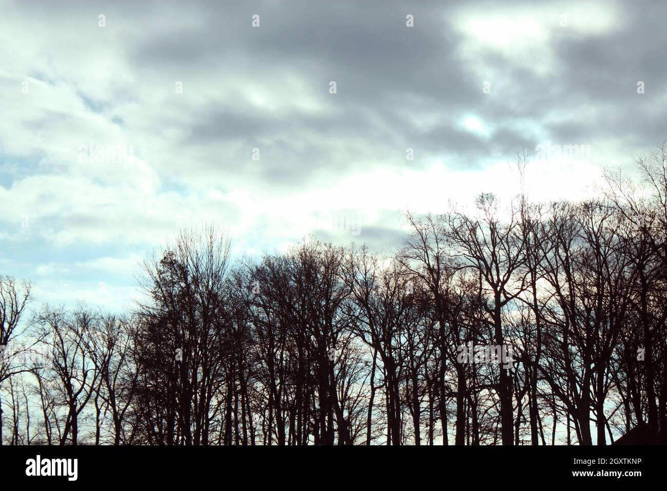 Cloudy sky with trees hi-res stock photography and images - Alamy