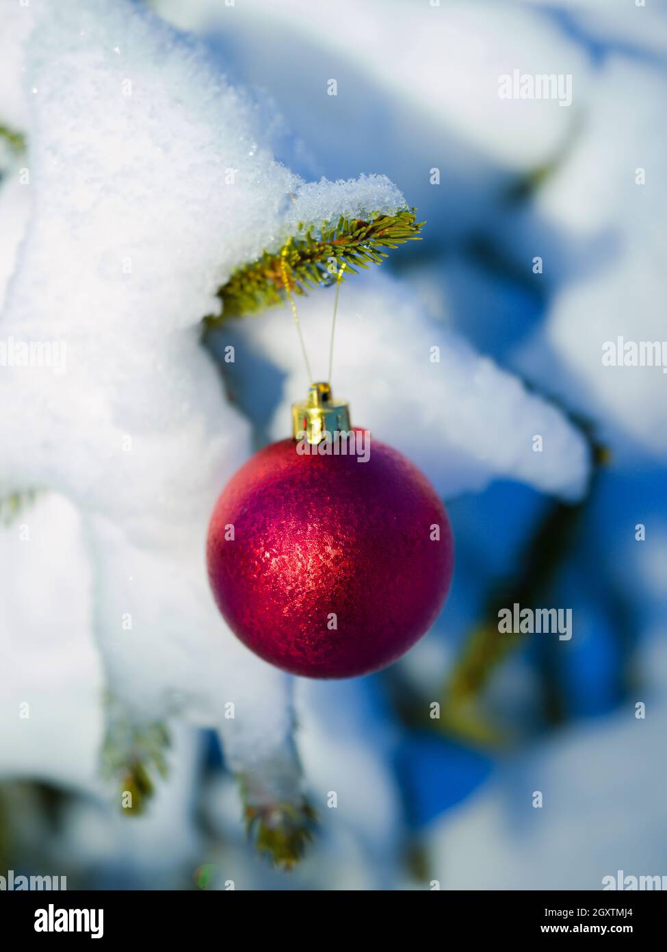 christmas tree red ball decoration with real snow Stock Photo - Alamy