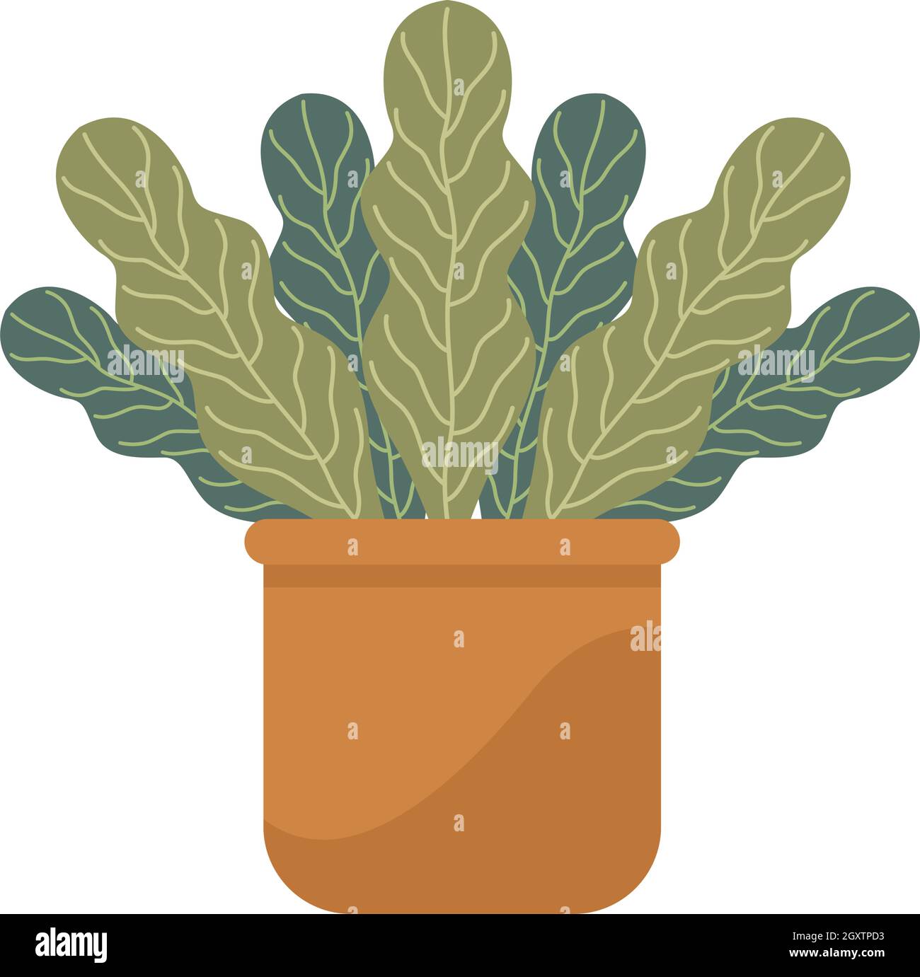 houseplant in ceramic pot Stock Vector Image & Art - Alamy