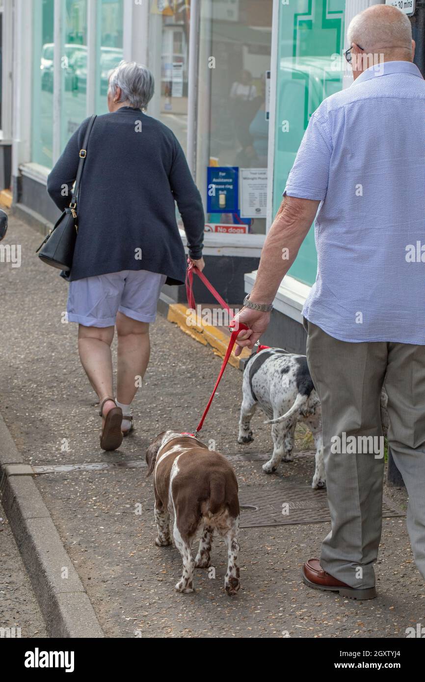 Dog walkers. Elderly citizen couple exercising their animals on a shop fronted suburban street pavement. Stalham, Norfolk. Stock Photo