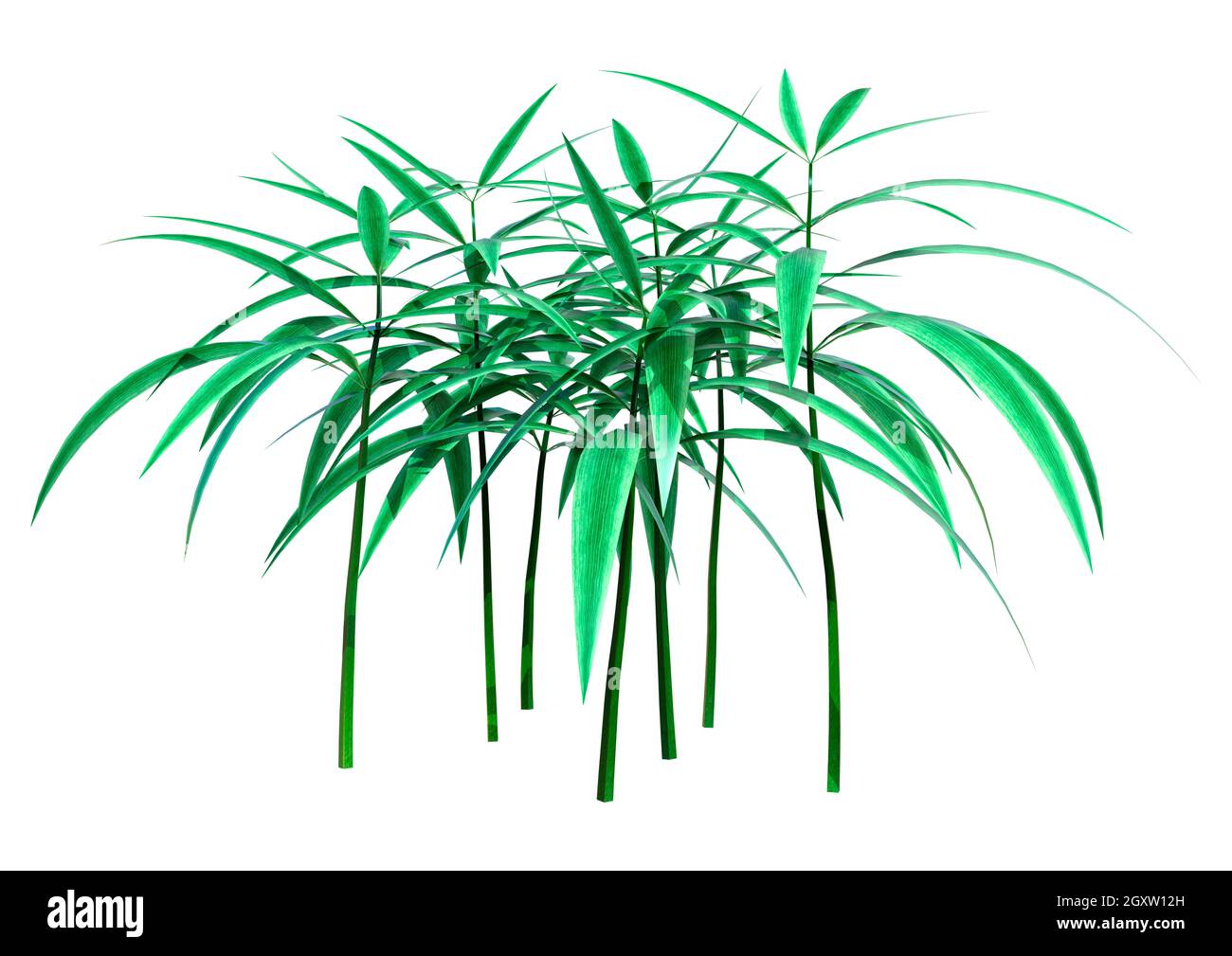 3d-rendering-of-a-patch-of-grass-isolated-on-white-background-stock