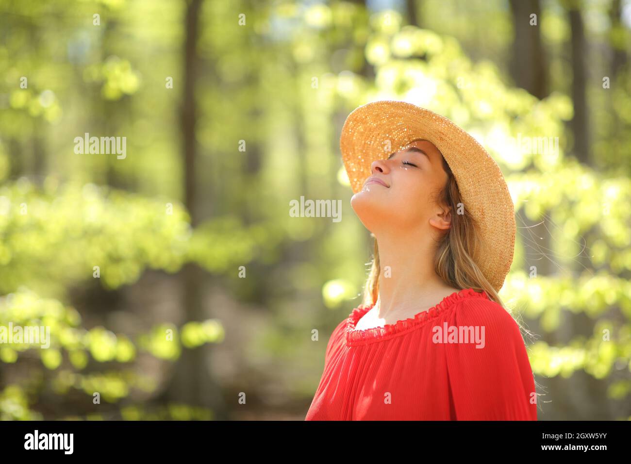 Happy woman in red wearing pamela breathing fresh air in a green forest ...