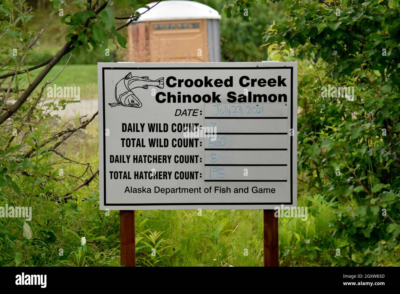 Sign with daily catches of chinook salmon in the Crooked Creek, Kenai