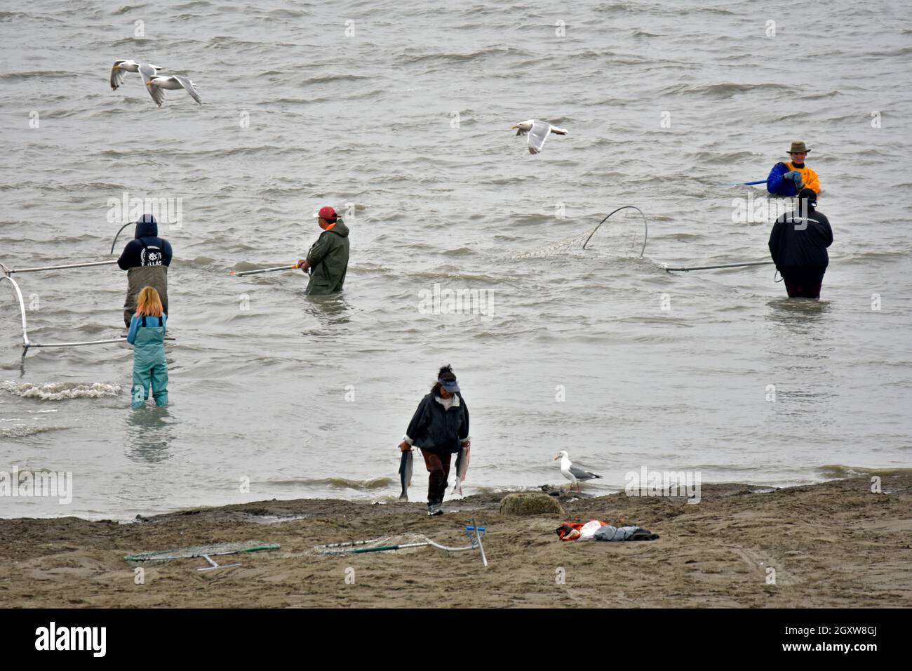 Popular recreational fishing during the salmon run season at the Kenai River mouth, Kenai