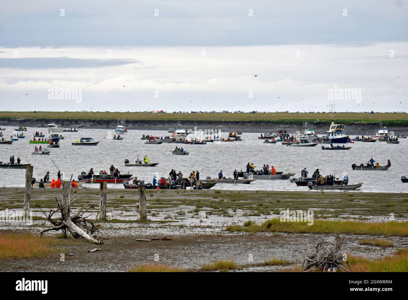 Popular recreational fishing during the salmon run season at the Kenai