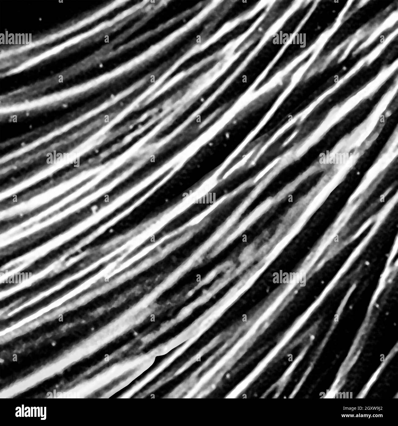 Black and white curves lines motif background Stock Photo