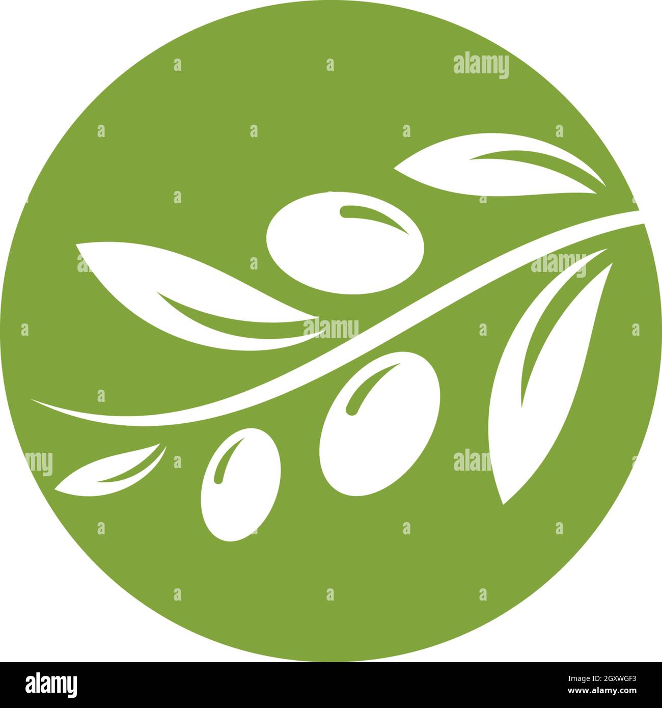 olive logo template vector design Stock Vector Image & Art - Alamy