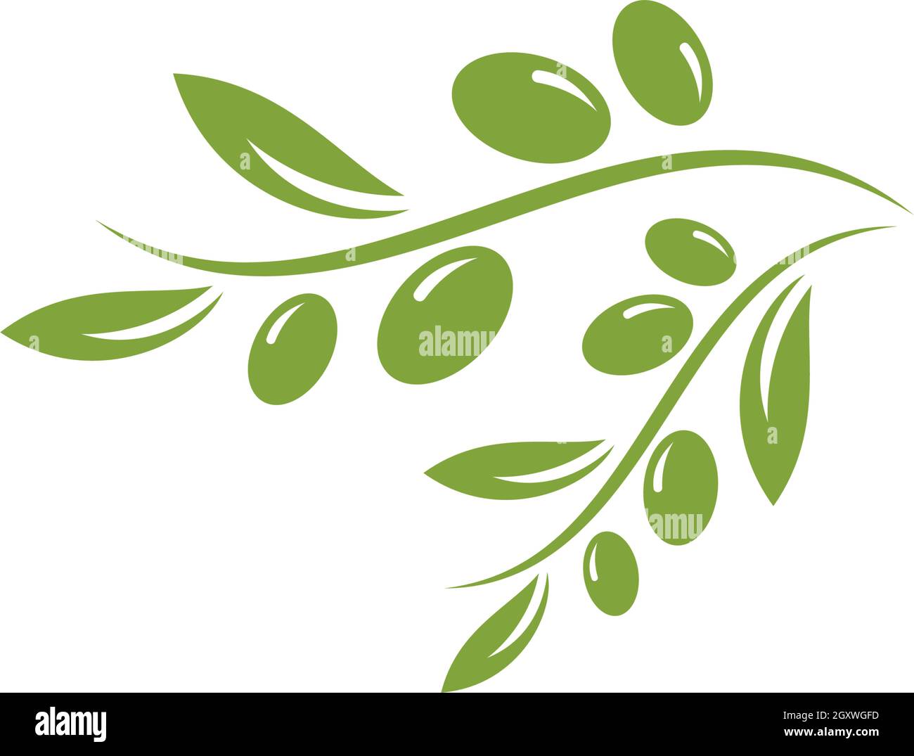 olive logo template vector design Stock Vector Image & Art - Alamy