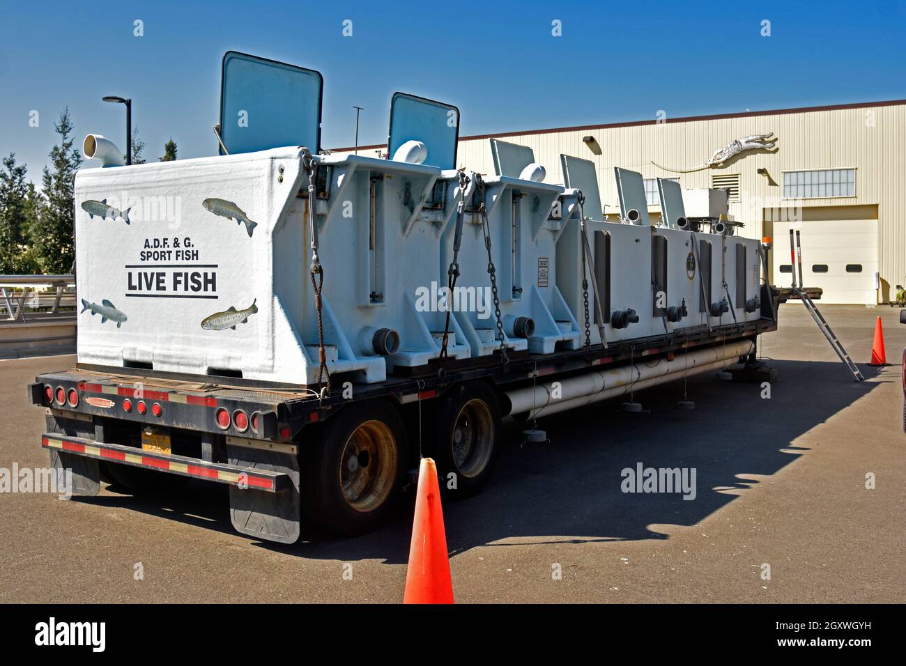 Live fish transport hi-res stock photography and images - Alamy