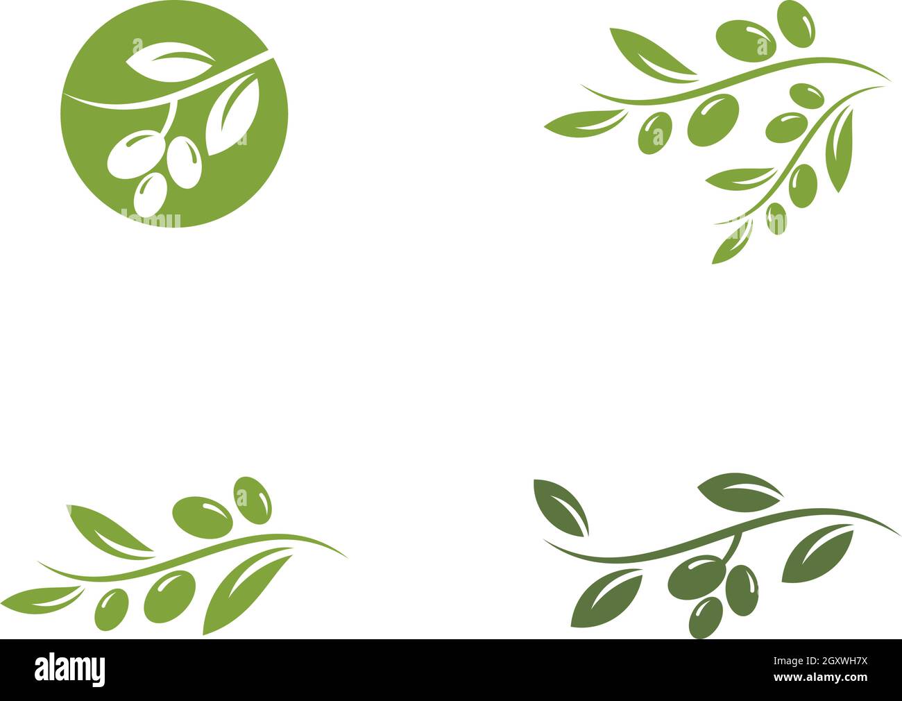olive logo template vector design Stock Vector Image & Art - Alamy