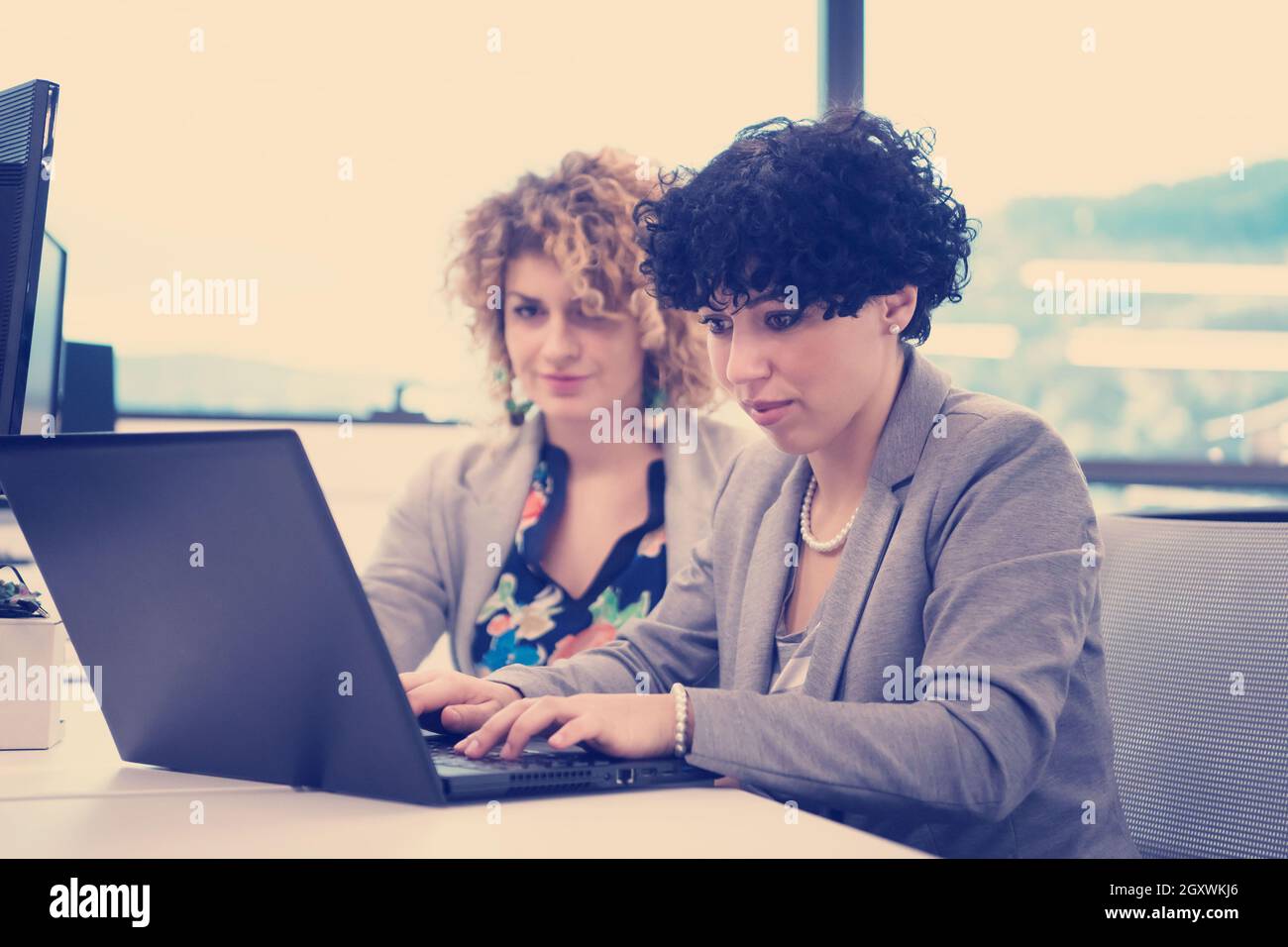 group of young female software developers using laptop computer while ...