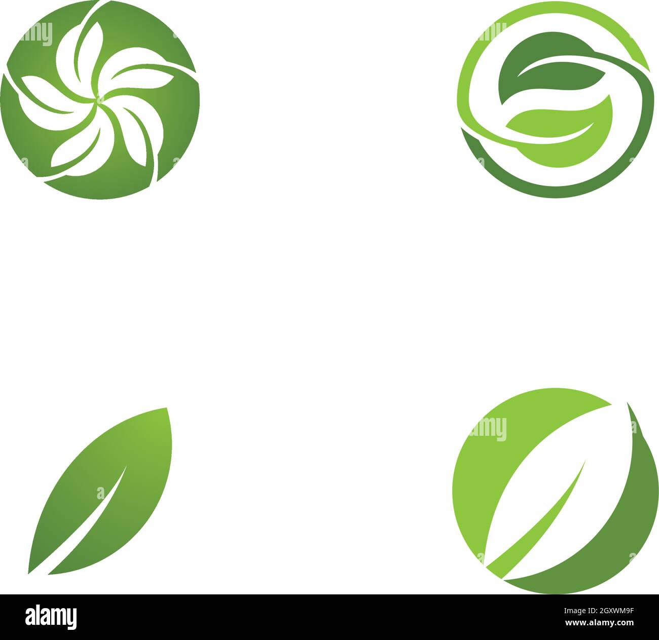 Logos of green leaf ecology nature element vector icon Stock Vector ...