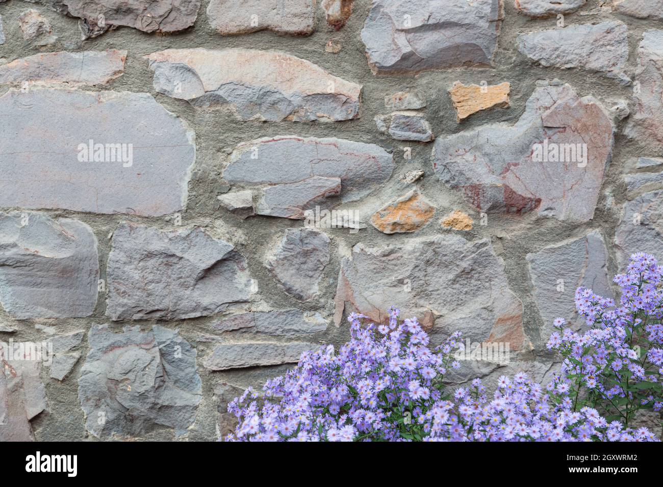Old Stone Wall With Flowers Background Texture Stock Photo - Alamy