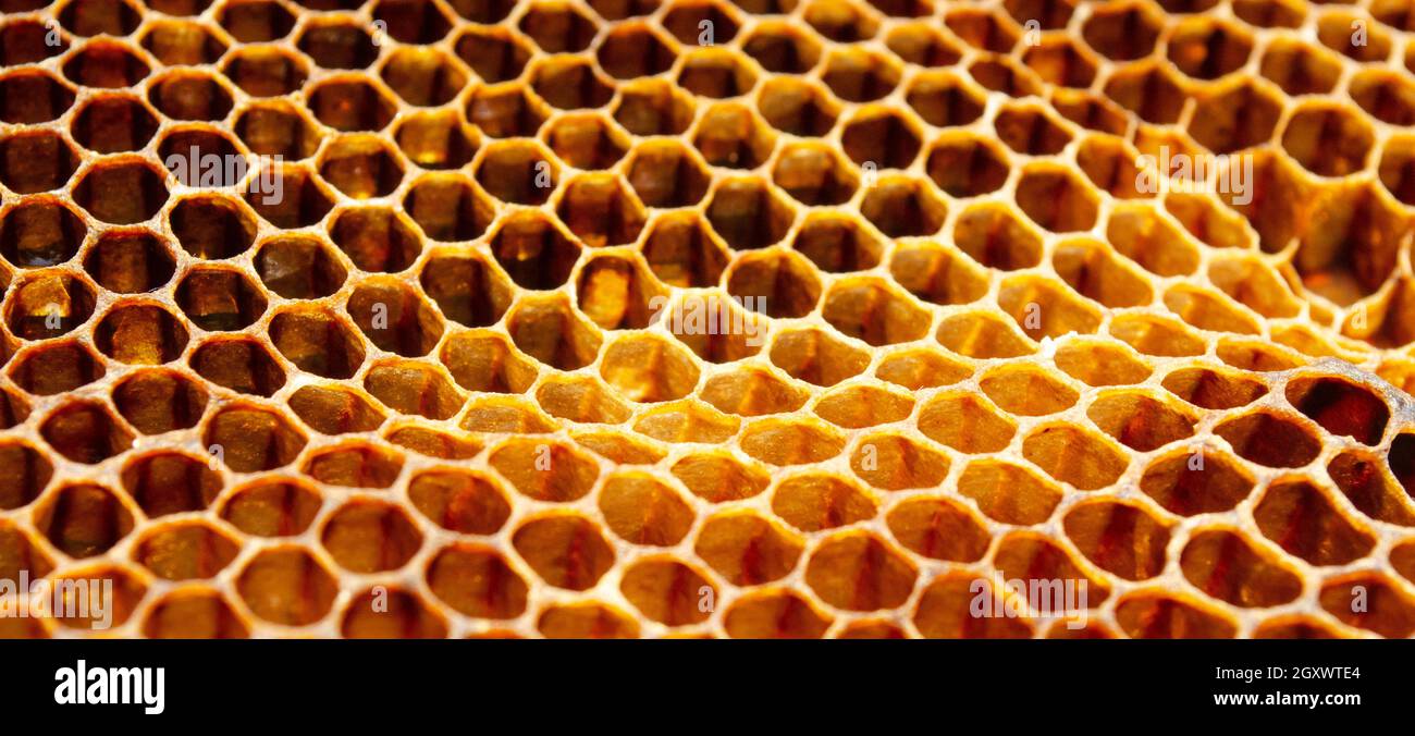 Hexagonal textured honeycomb background close-up Stock Photo