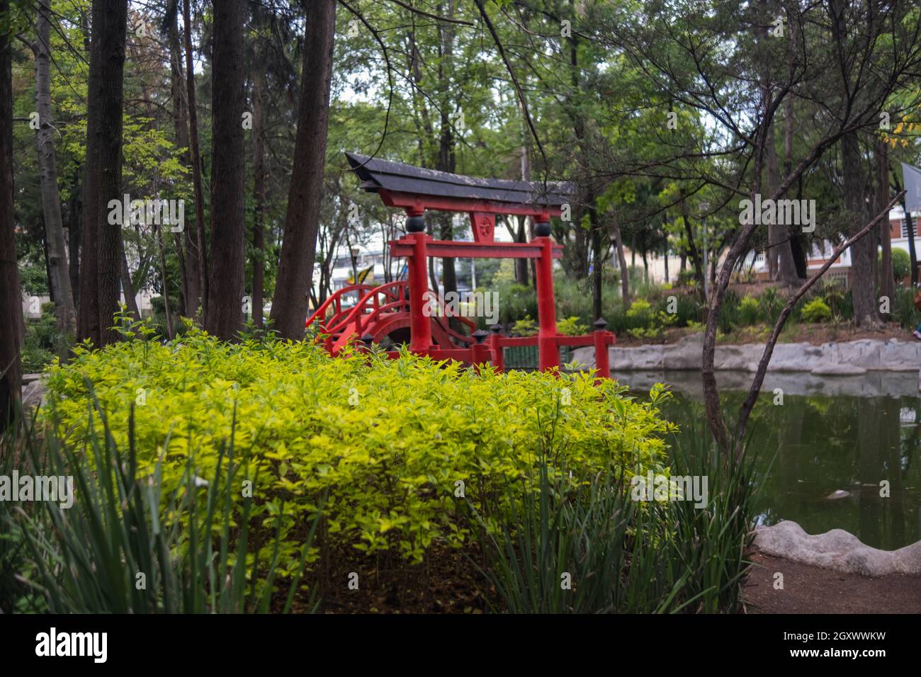 Traditional Japanese gate and pond in Masayoshi Ohira Park Stock Photo Alamy