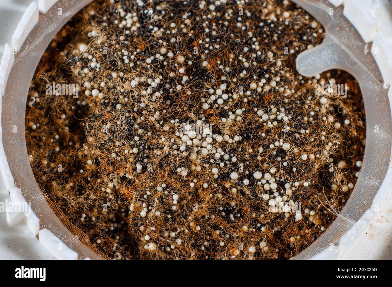 Old clogged water filter media with carbon loading with granular foam Stock Photo Alamy