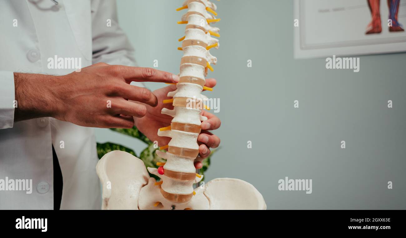 Close up mixed race male doctor working in clinic holding spine of skeleton Stock Photo