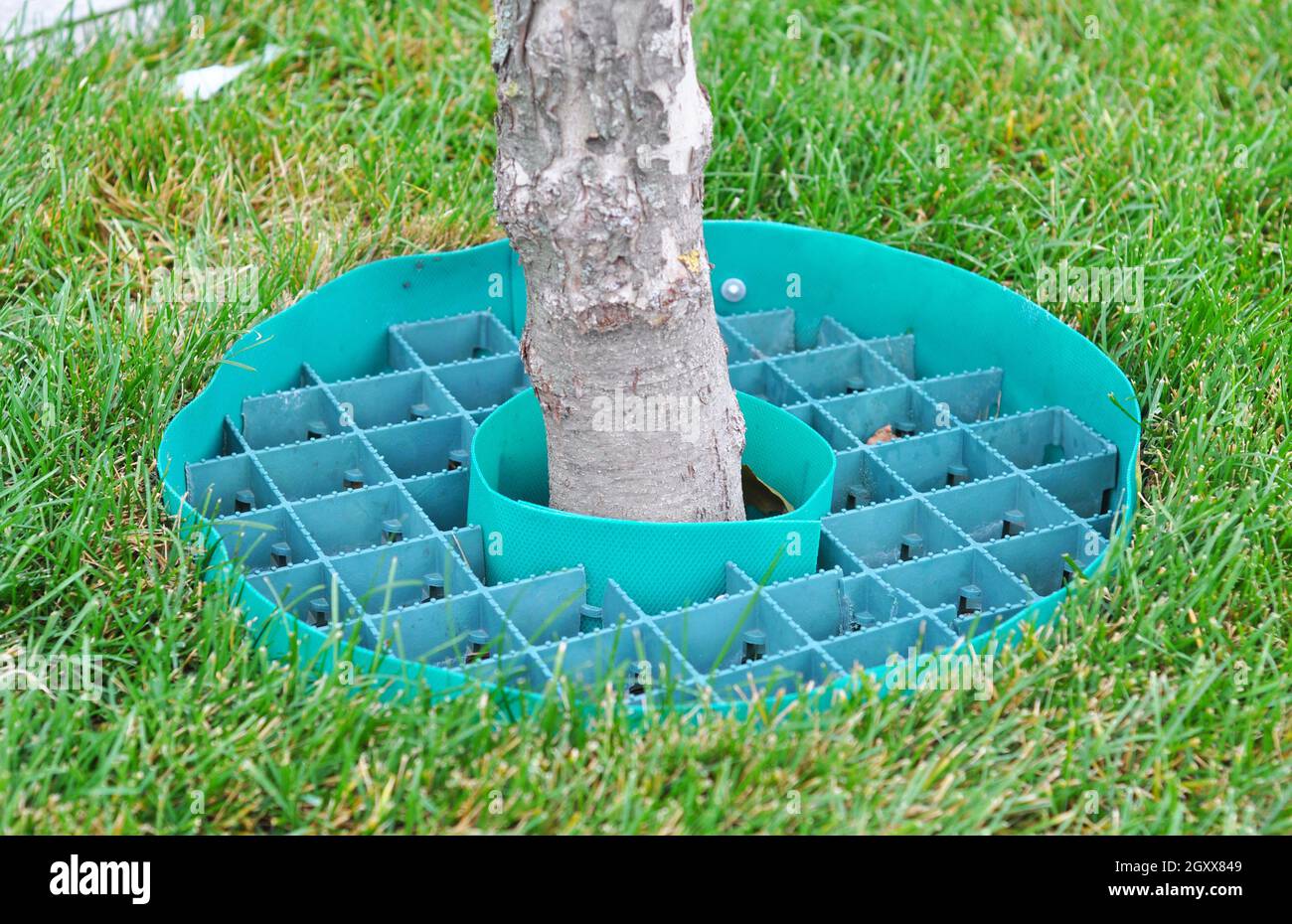 Tree rubber roud for better rain and watering drain tree roots. Stock Photo